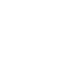 matriz bcg estrela icone