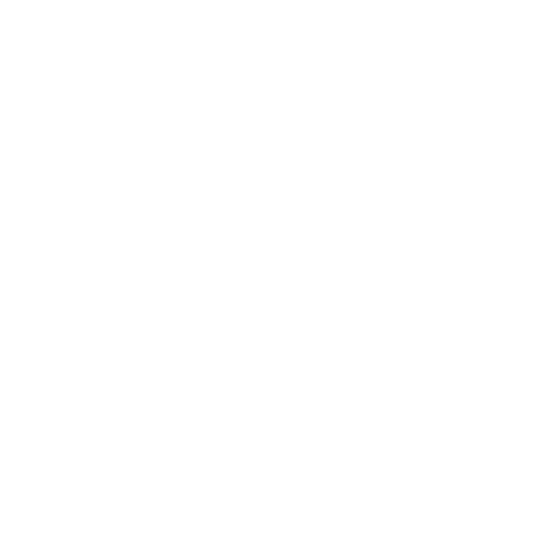 logo bertech