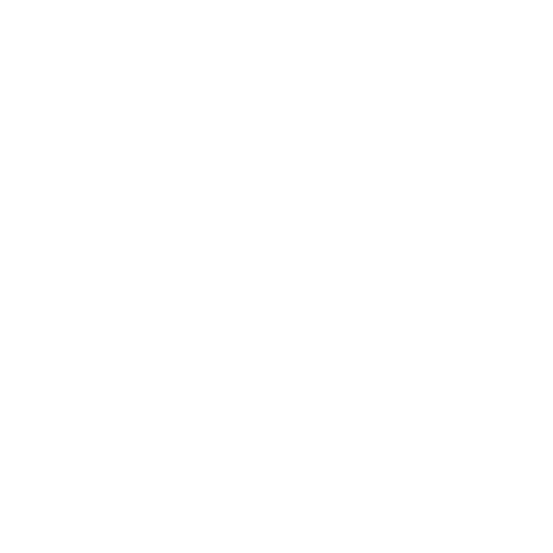 logo geocontrole