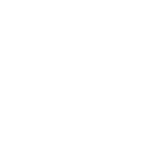 logo geocontrole