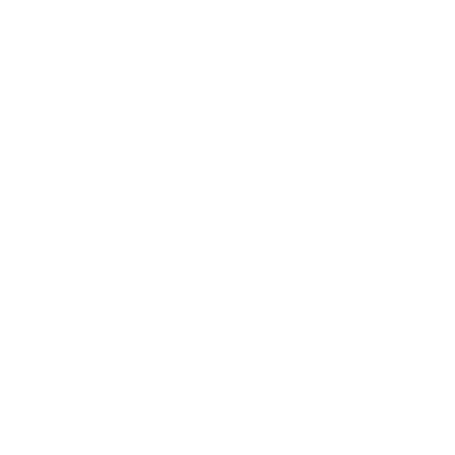 logo nutex