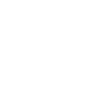 logo bertech